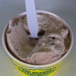 St. Louis, MO: Ted Drewes