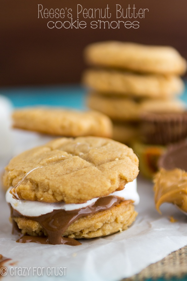 Reese's Peanut Butter Cookie Smores – Eat More Chocolate Eat More Chocolate