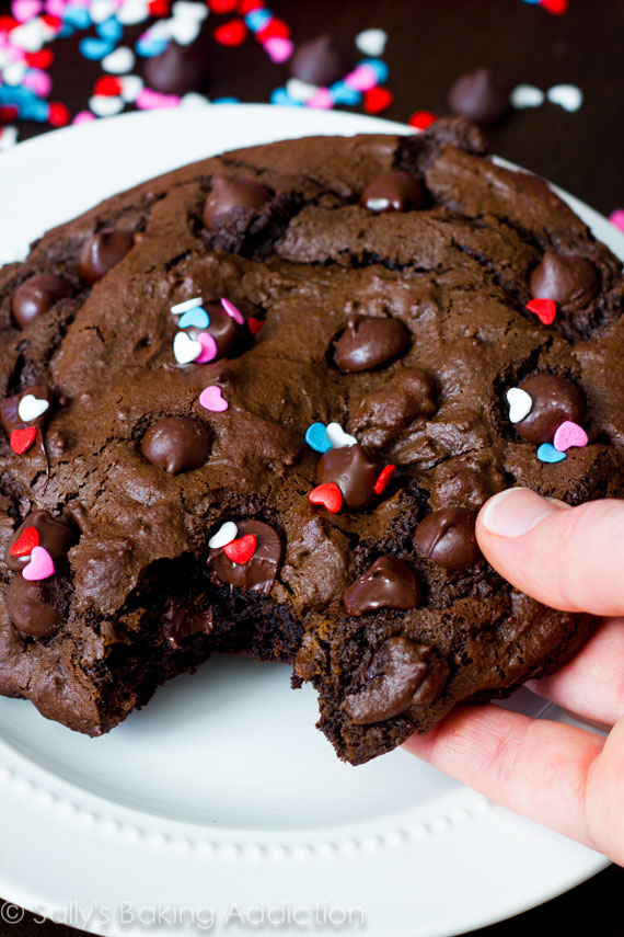 Double Chocolate Chip Cookies Recipe - Sally's Baking Addiction